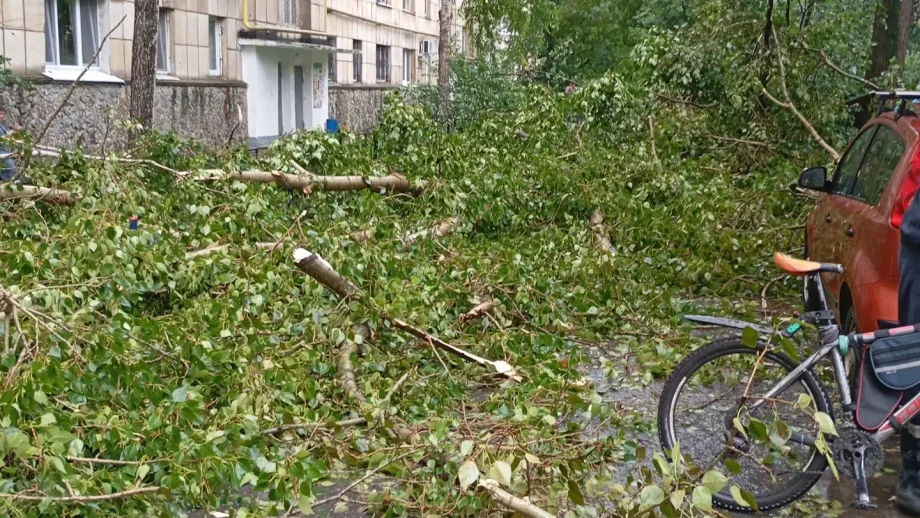 Фото предоставлено пресс-службой УК «Фонд Радомир»