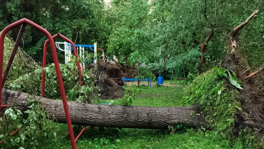 Фото предоставлено пресс-службой УК «Фонд Радомир»